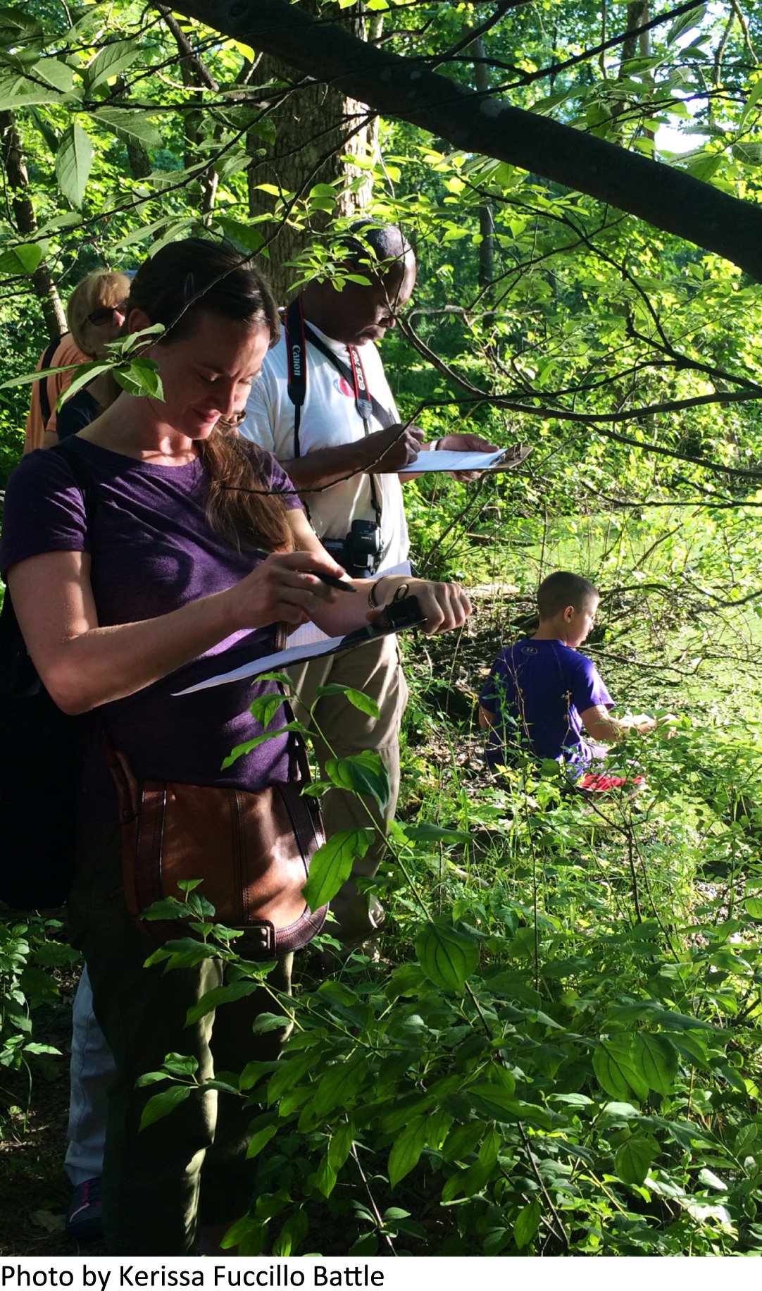 Citizen Science Across Two Centuries Reveals Phenological Change Among Plant Species And Functional Groups In The Northeastern Us Fuccillo Battle Journal Of Ecology Wiley Online Library