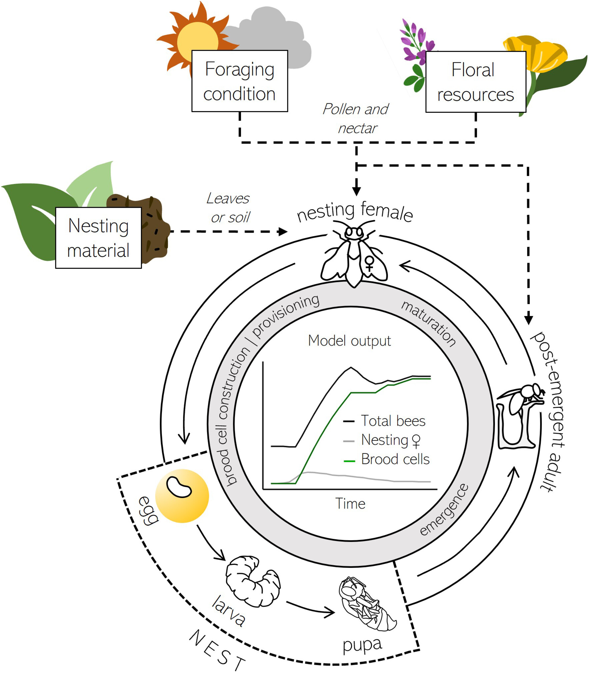 Relative amount of functional habitat and three services by planning